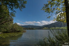 IMG_4620.jpg