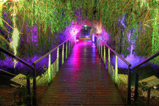 Brücke-2web.jpg