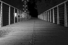 Waldbrücke-web.jpg