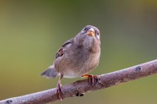 compIMG_7625.jpg