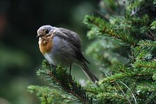 IMG_5404.jpg
