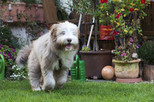 DSLR_KHA_4025.JPG