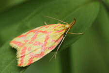 HyperCit_20140616_4575_E7D_v1.JPG