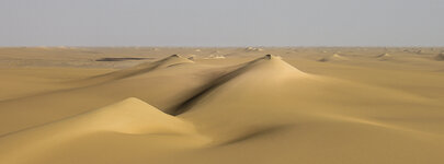 IMG_0560-1-3.jpg