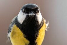 compIMG_7839-2.jpg