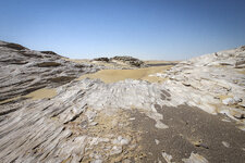 IMG_0314-1.jpg