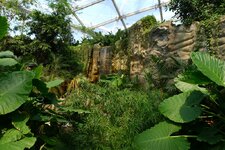 2012-04-30_14h14m51s_Leipzig_Gondwana.jpg