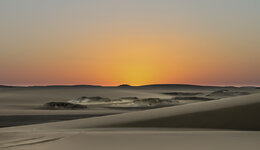 IMG_0363-1.jpg