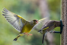 IMG_1070.jpg
