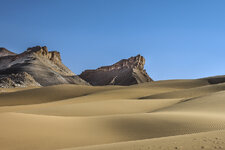 IMG_2205-1-4.jpg