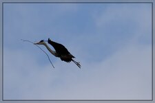 neuIMG_4630.jpg