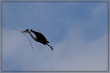 neuIMG_4631.jpg