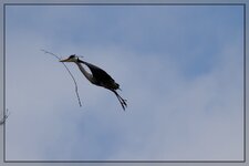 neuIMG_4632.jpg
