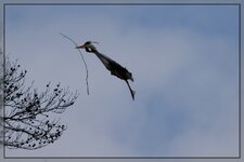 neuIMG_4633.jpg