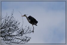 neuIMG_4634.jpg