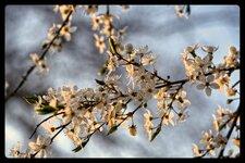 DSC_5942.jpg