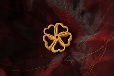 DSLR Forum 2013, Nudeln auf Tuch2,.jpg