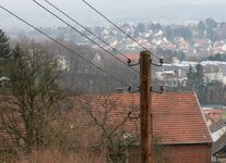 D2X_7385_67.jpg