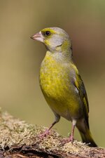 comp_EOS 5D Mark III-5870 - LR4.jpg
