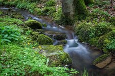 Q22A6511.jpg Q22A6511.jpg