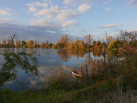 P1000524.JPG