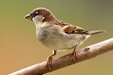 compIMG_8969.jpg