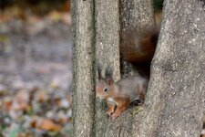 comp_DSC_9690.jpg