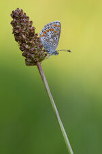 20140923-IMG_2407-b.jpg