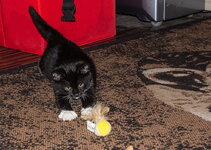 _MG_5468.jpg