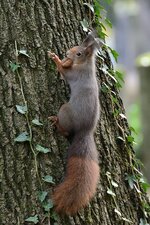 comp_DSC_9469.jpg