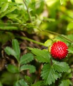 IMG_1582.jpg