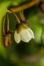 IMG_1870.jpg