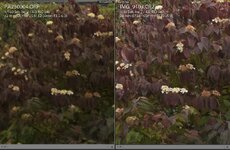 comp_Vergleich 3 2-1.jpg