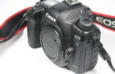 Canon 5D Mark II_3.jpg