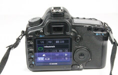 Canon 5D Mark II_6.jpg