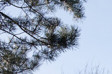 IMG_2815-3.jpg