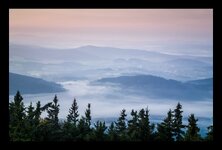 comp_DSC_1521-Bearbeitet-Bearbeitet-Bearbeitet-Bearbeitet.jpg