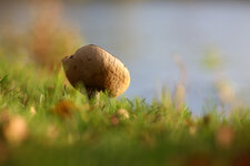 herbst03.jpg