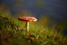 herbst05.jpg