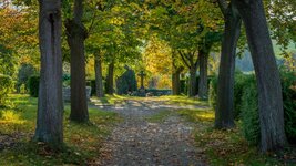 comp_DSC01365-2.jpg