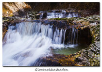 IMG_8164_1.jpg