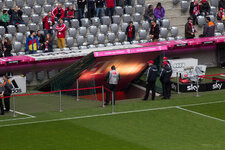 IMG_6367.jpg