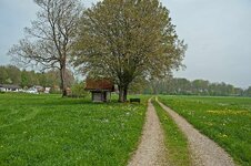 comp_DSC_3528 Kopie.jpg