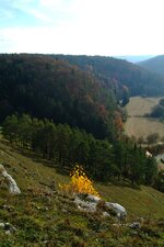 DSCF2152.jpg