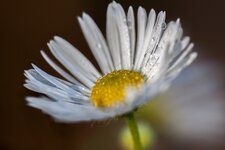 IMG_9069.jpg
