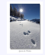 Winterspuren.jpg Winterspuren.jpg