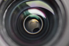 K5__5884.jpg