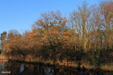 IMG_8404.jpg