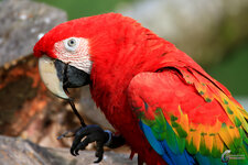 Gerhard G.-20305.jpg