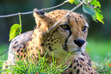 Gerhard G.-20495.jpg